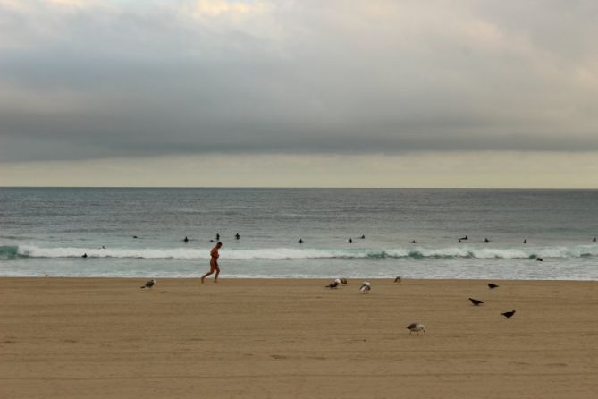 Animales: foto en Donostia-San Sebastián