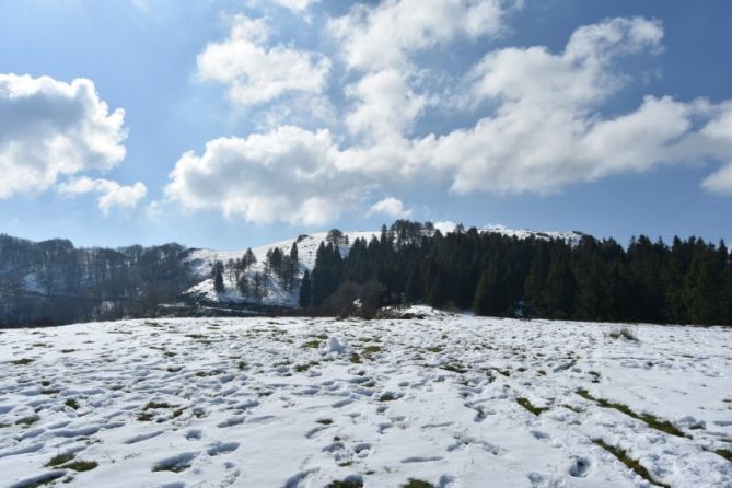 AZKEN ELURTEAK - ULTIMAS NEVADAS: foto en Oiartzun