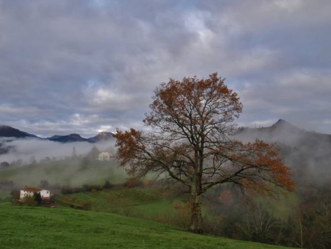 Bedoña: foto en Arrasate-Mondragón