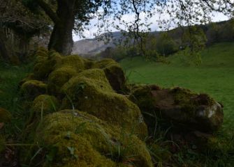 BERDETASUNA - VERDOR