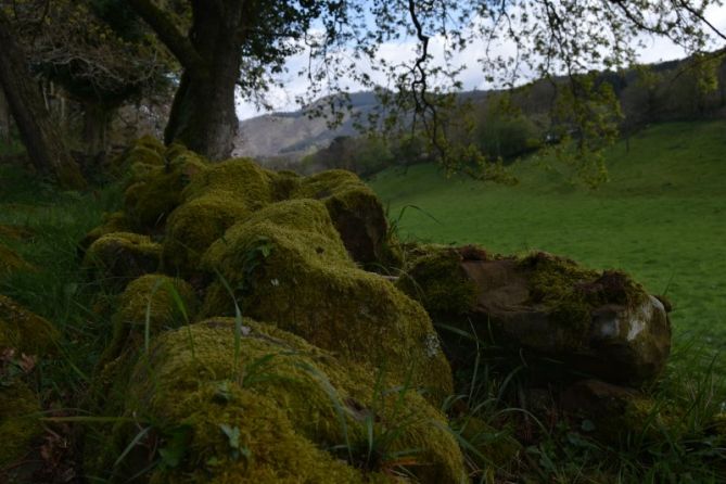 BERDETASUNA - VERDOR: foto en Pasaia