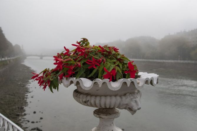 Color entre la niebla: foto en Donostia-San Sebastián