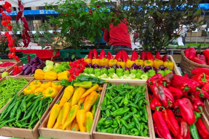 Colores de huerta: foto en Ordizia