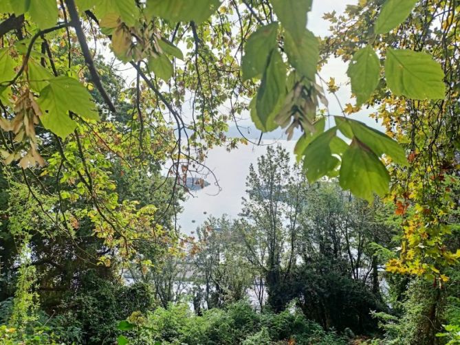 Colores del otoño : foto en Hondarribia