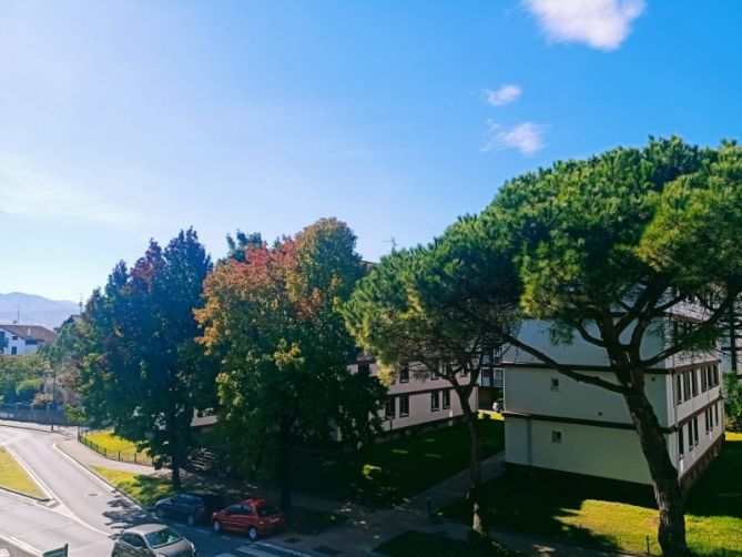 Colores del otoño : foto en Hondarribia