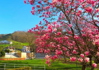 Colores de primavera