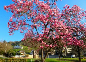 Contrastes naturales