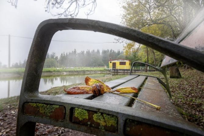 Debe ser Otoño: foto en Elgeta