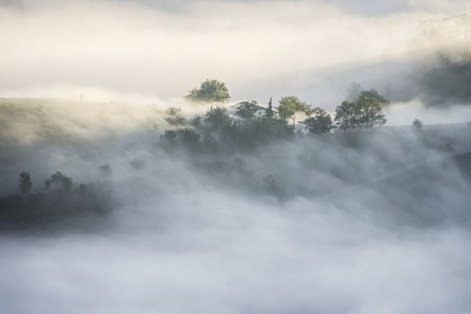 ENTRE LA NIEBLA: foto en Elgoibar