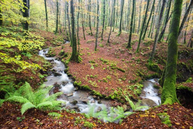 Errekastoa: foto en Ataun