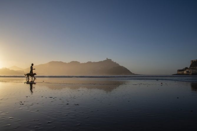 Fiel compañero: foto en Donostia-San Sebastián