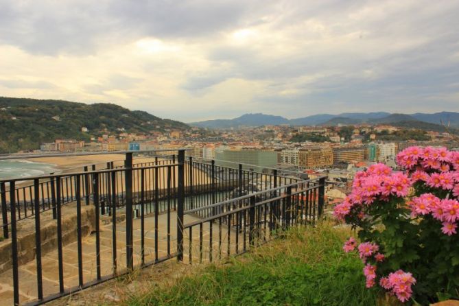 Flores: foto en Donostia-San Sebastián