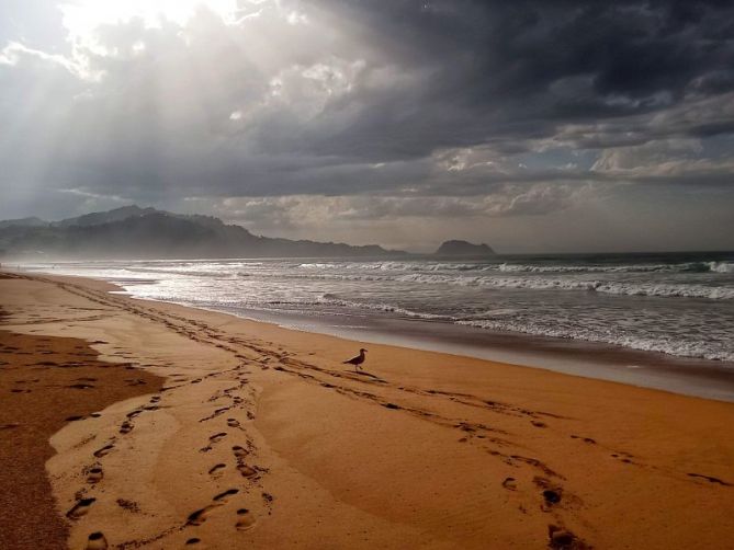 Hankak bustitzen: foto en Zarautz