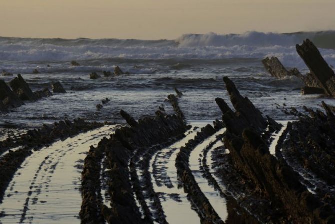 Herensugea: foto en Deba