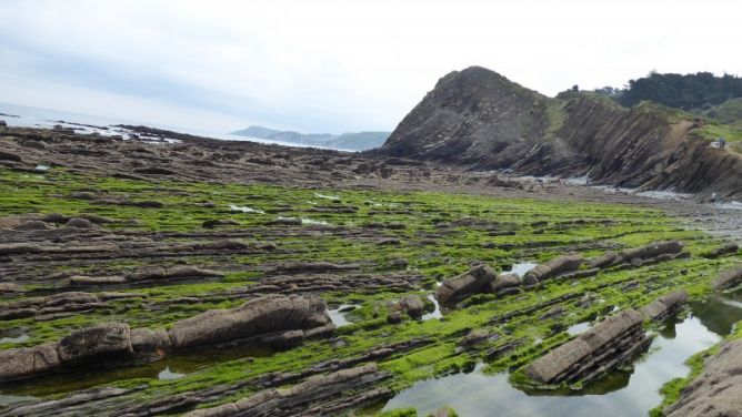 itsas bazterreko altxorra: foto en Zumaia