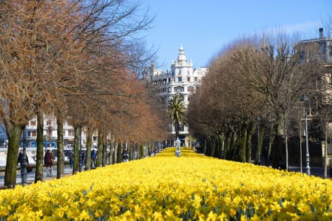 Lilipen horia: foto en Donostia-San Sebastián