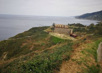 Mollarri