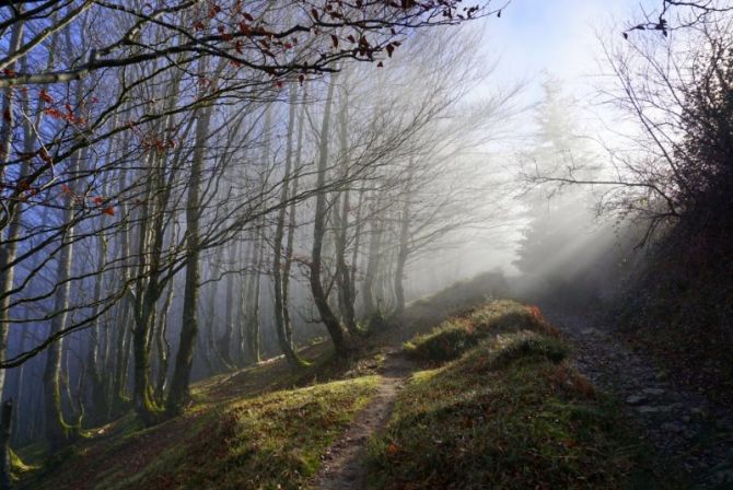 Neguko argi izpiak: foto en Aretxabaleta