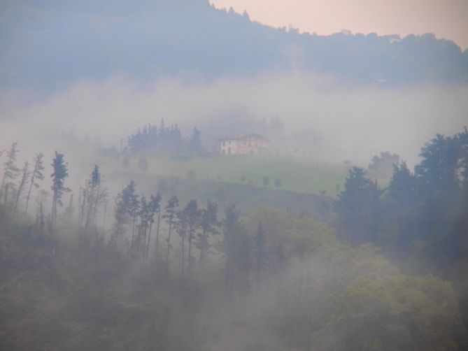 Niebla: foto en Usurbil