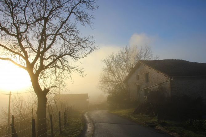 Nieblas goierritarras: foto en Beasain