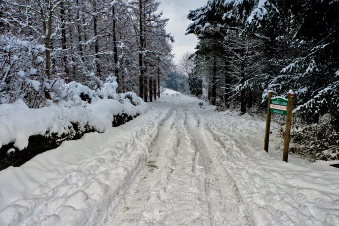 NIEVE: foto en Elgeta