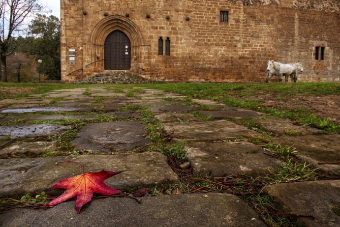 OTOÑO EN ANTIO: foto en Zumarraga