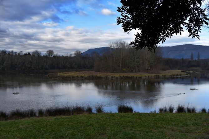 PADURA - MARISMA: foto en Irun