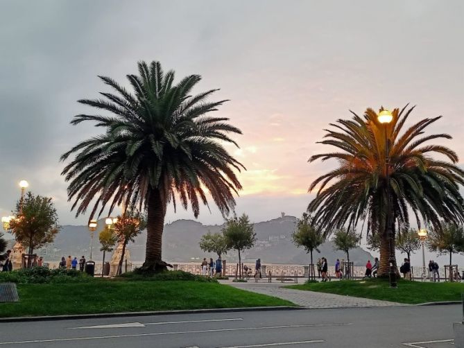 Palmeras en la Concha : foto en Donostia-San Sebastián