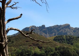 Peñas, siempre Peñas.