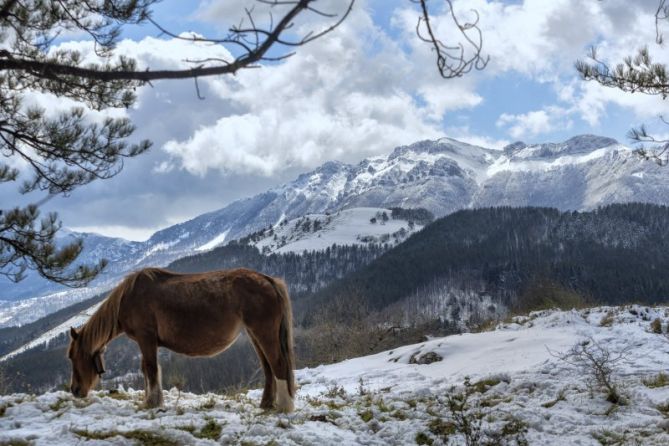 AL PIE DE AIZTKORRI: foto en Zegama