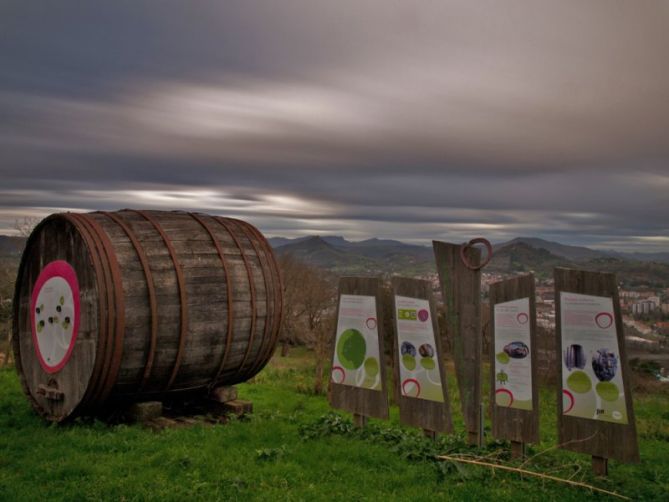 Sagardoa naturala: foto en Astigarraga