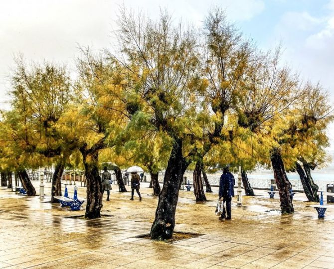 Sonata de Otoño: foto en Donostia-San Sebastián