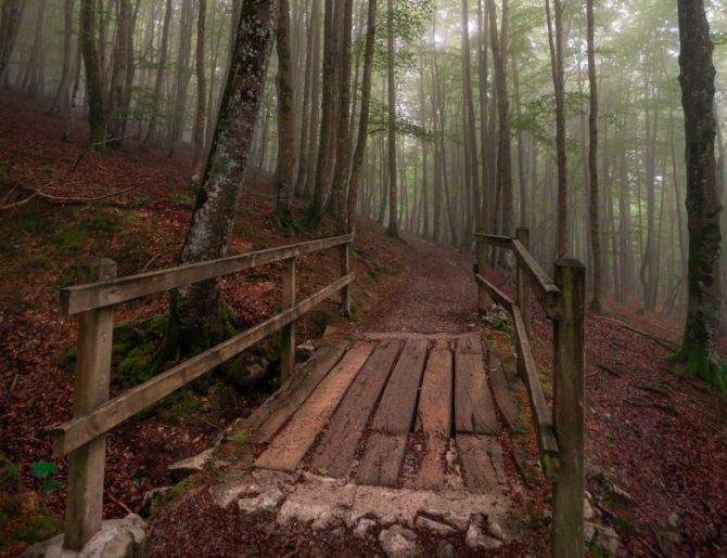 Subida a Urbia entre la niebla.: foto en Oñati