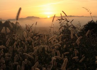 Amanece, siempre amanece.