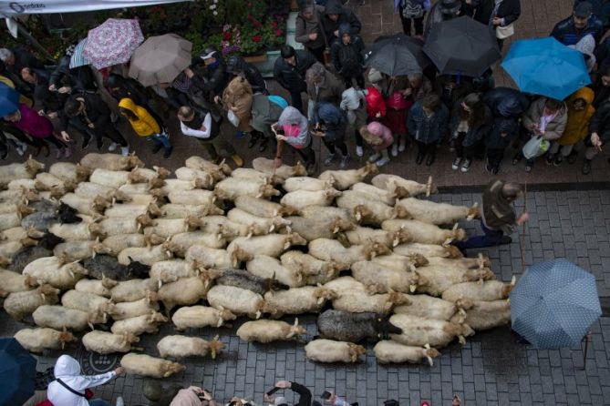 Artzai eguna: foto en Ordizia