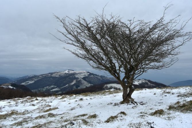 BAKARTIA: foto en Errezil