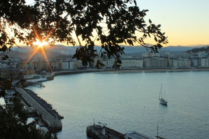 Balandro solitario: foto en Donostia-San Sebastián