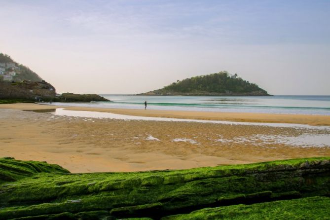 Berdea: foto en Donostia-San Sebastián