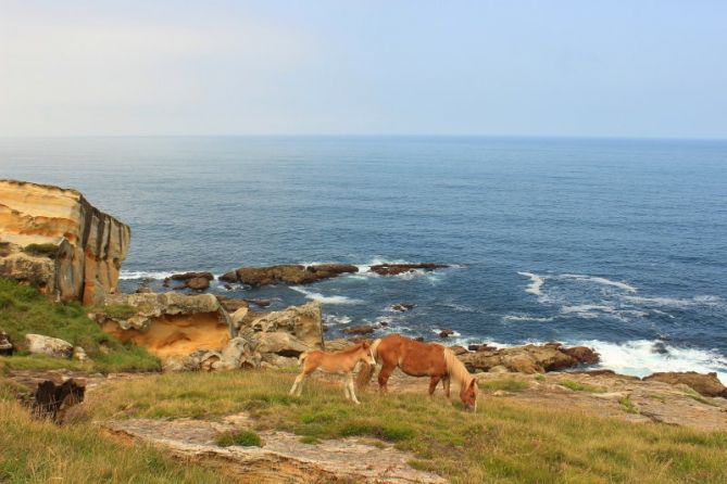 Cerca del mar: foto en Hondarribia