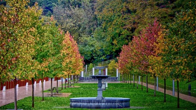 color de otoño: foto en Tolosa