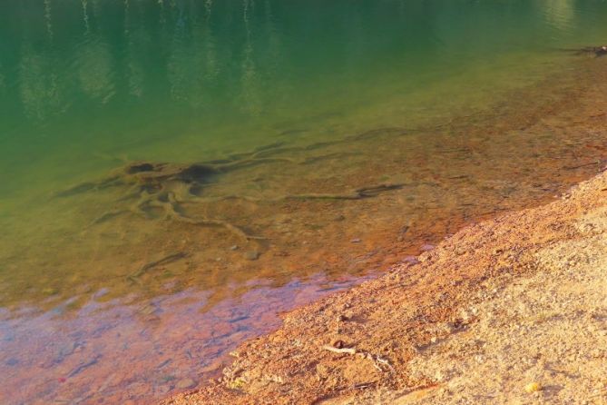 Colores de lareo: foto en Ataun