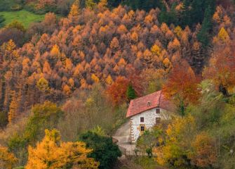 Colores de Otoño