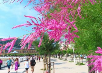 Colores primaverales