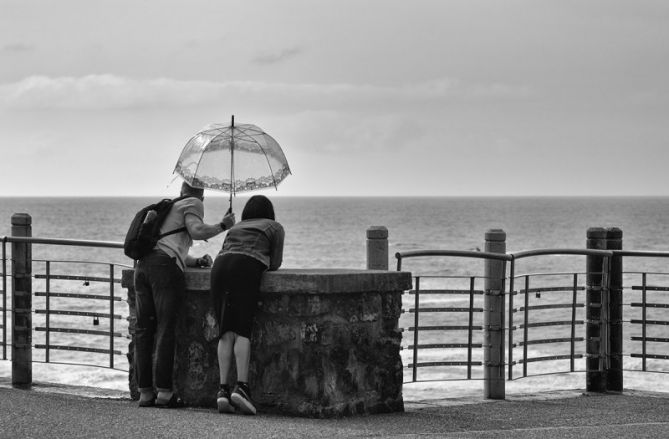 Curiosidad. : foto en Donostia-San Sebastián