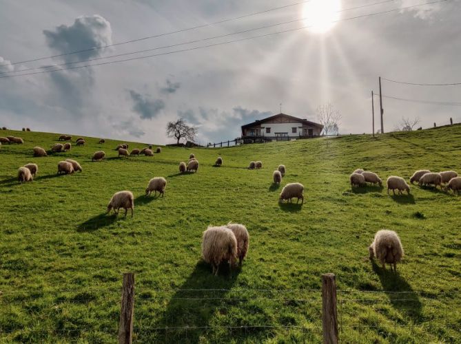 Eguzkiaren argiak eta gerizak: foto en Azpeitia