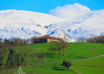 Entre verdes y blancos.