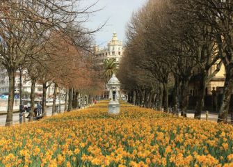 Escultura entre narcisos