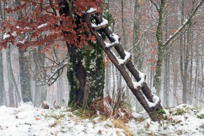 Eskailera: foto en Ataun