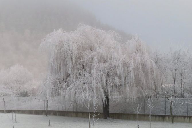 Fresca mañana: foto en Olaberria