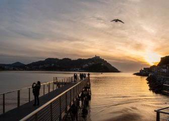 Gaviota al atardecer